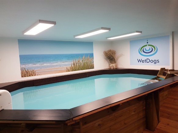 Wetdogs Pool